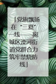 党旗飘扬在“三夏”一线——宛城区溧河街道党群合力筑牢禁烧防线