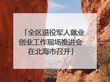 全区退役军人就业创业工作现场推进会在北海市召开