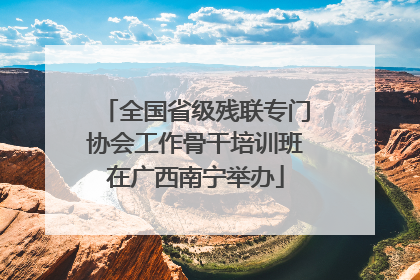 全国省级残联专门协会工作骨干培训班在广西南宁举办