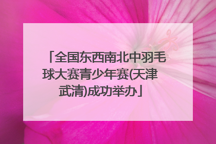 全国东西南北中羽毛球大赛青少年赛(天津武清)成功举办