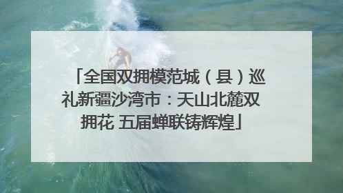 全国双拥模范城（县）巡礼新疆沙湾市：天山北麓双拥花 五届蝉联铸辉煌