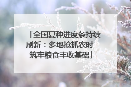 全国夏种进度条持续刷新：多地抢抓农时 筑牢粮食丰收基础
