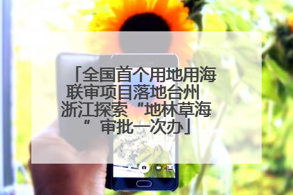 全国首个用地用海联审项目落地台州 浙江探索“地林草海”审批一次办