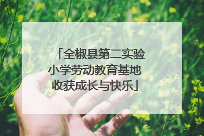 全椒县第二实验小学劳动教育基地收获成长与快乐