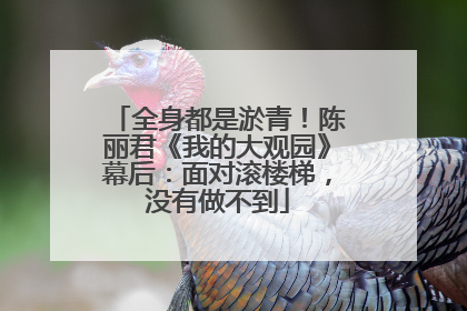 全身都是淤青！陈丽君《我的大观园》幕后：面对滚楼梯，没有做不到