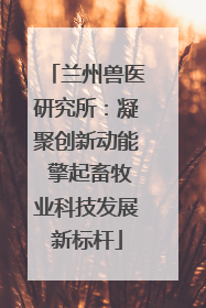 兰州兽医研究所：凝聚创新动能 擎起畜牧业科技发展新标杆