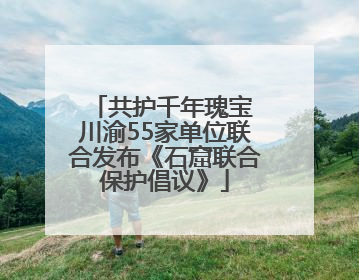 共护千年瑰宝 川渝55家单位联合发布《石窟联合保护倡议》