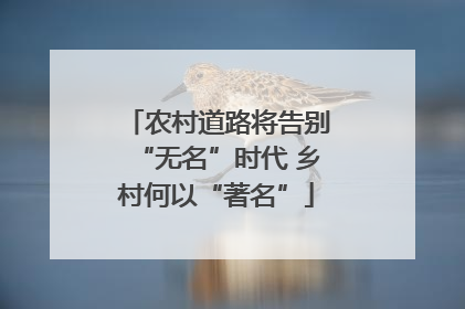 农村道路将告别“无名”时代 乡村何以“著名”