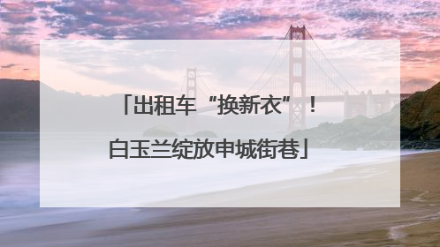 出租车“换新衣”！白玉兰绽放申城街巷