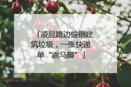 凌晨路边偷倒建筑垃圾，一张快递单“露马脚”