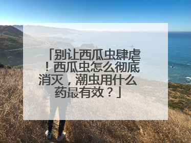 别让西瓜虫肆虐！西瓜虫怎么彻底消灭，潮虫用什么药最有效？