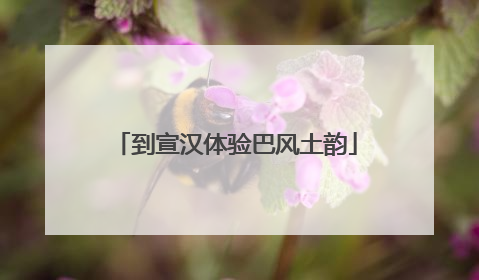 到宣汉体验巴风土韵
