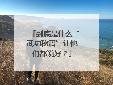 到底是什么“武功秘籍”让他们都说好？