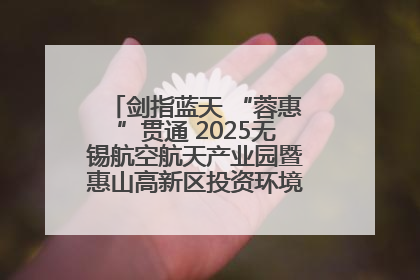 剑指蓝天 “蓉惠”贯通 2025无锡航空航天产业园暨惠山高新区投资环境推介会在成都举行