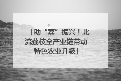 助“荔”振兴！北流荔枝全产业链带动特色农业升级