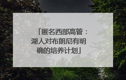 匿名西部高管：湖人对布朗尼有明确的培养计划