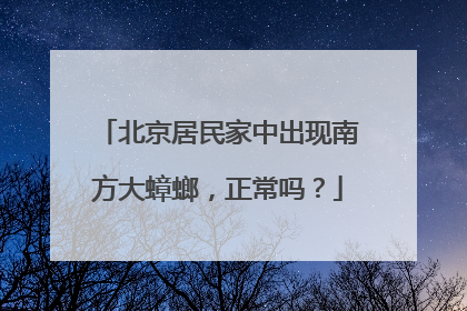 北京居民家中出现南方大蟑螂，正常吗？
