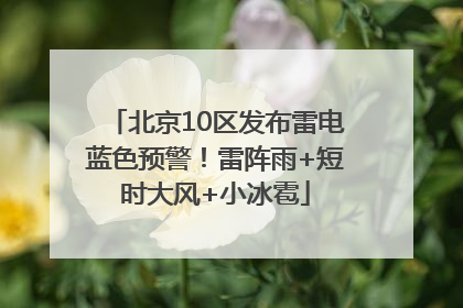 北京10区发布雷电蓝色预警！雷阵雨+短时大风+小冰雹