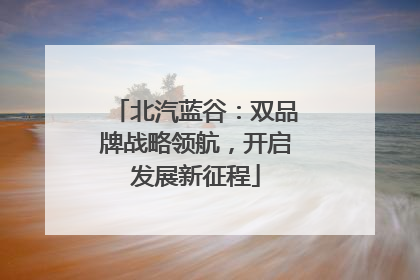 北汽蓝谷：双品牌战略领航，开启发展新征程