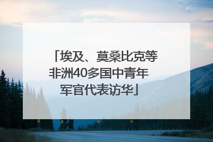 埃及、莫桑比克等非洲40多国中青年军官代表访华