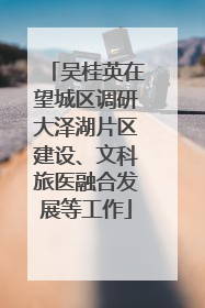 吴桂英在望城区调研大泽湖片区建设、文科旅医融合发展等工作