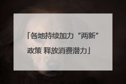 各地持续加力“两新”政策 释放消费潜力