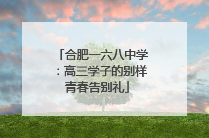 合肥一六八中学：高三学子的别样青春告别礼