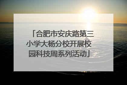 合肥市安庆路第三小学大杨分校开展校园科技周系列活动