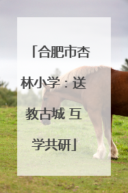 合肥市杏林小学：送教古城 互学共研