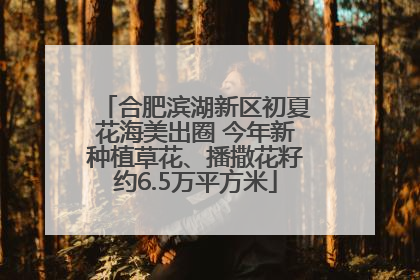 合肥滨湖新区初夏花海美出圈 今年新种植草花、播撒花籽约6.5万平方米