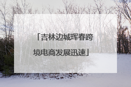吉林边城珲春跨境电商发展迅速