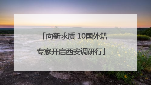 向新求质 10国外籍专家开启西安调研行