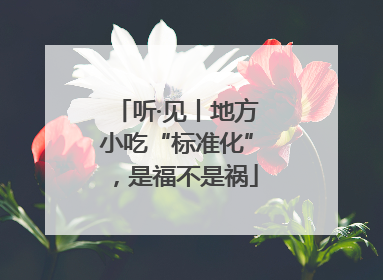 听·见丨地方小吃“标准化”，是福不是祸
