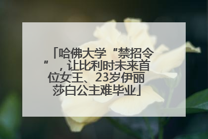 哈佛大学“禁招令”，让比利时未来首位女王、23岁伊丽莎白公主难毕业