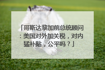 哥斯达黎加前总统顾问：美国对外加关税，对内猛补贴，公平吗？