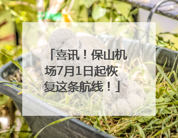 喜讯！保山机场7月1日起恢复这条航线！