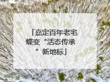 嘉定百年老宅蝶变“活态传承”新地标