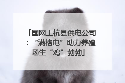 国网上杭县供电公司：“满格电”助力养殖场生“鸡”勃勃