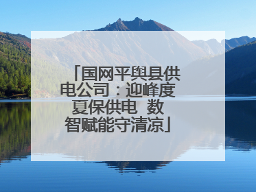 国网平舆县供电公司：迎峰度夏保供电  数智赋能守清凉