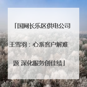 国网长乐区供电公司王雪羽：心系客户解难题 深化服务创佳绩