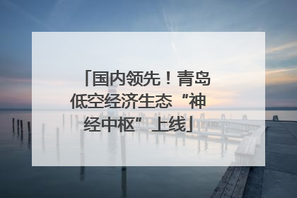 国内领先！青岛低空经济生态“神经中枢”上线