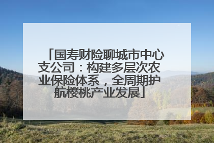 国寿财险聊城市中心支公司：构建多层次农业保险体系，全周期护航樱桃产业发展
