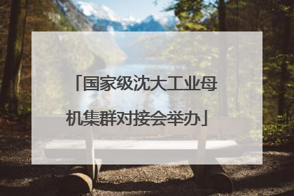 国家级沈大工业母机集群对接会举办