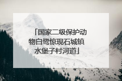 国家二级保护动物白鹭惊现石城镇水堡子村河道