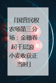 国营民权农场第三分场：金穗卷起千层浪 小麦收获正当时