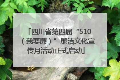 四川省第四届“510（我要廉）”廉洁文化宣传月活动正式启动