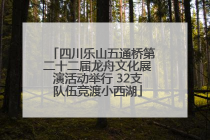 四川乐山五通桥第二十二届龙舟文化展演活动举行 32支队伍竞渡小西湖