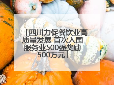 四川力促餐饮业高质量发展 首次入围服务业500强奖励500万元
