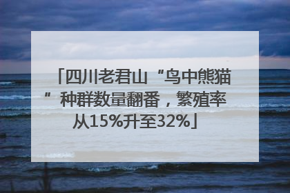 四川老君山“鸟中熊猫”种群数量翻番，繁殖率从15%升至32%