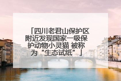 四川老君山保护区附近发现国家一级保护动物小灵猫 被称为“生态试纸”